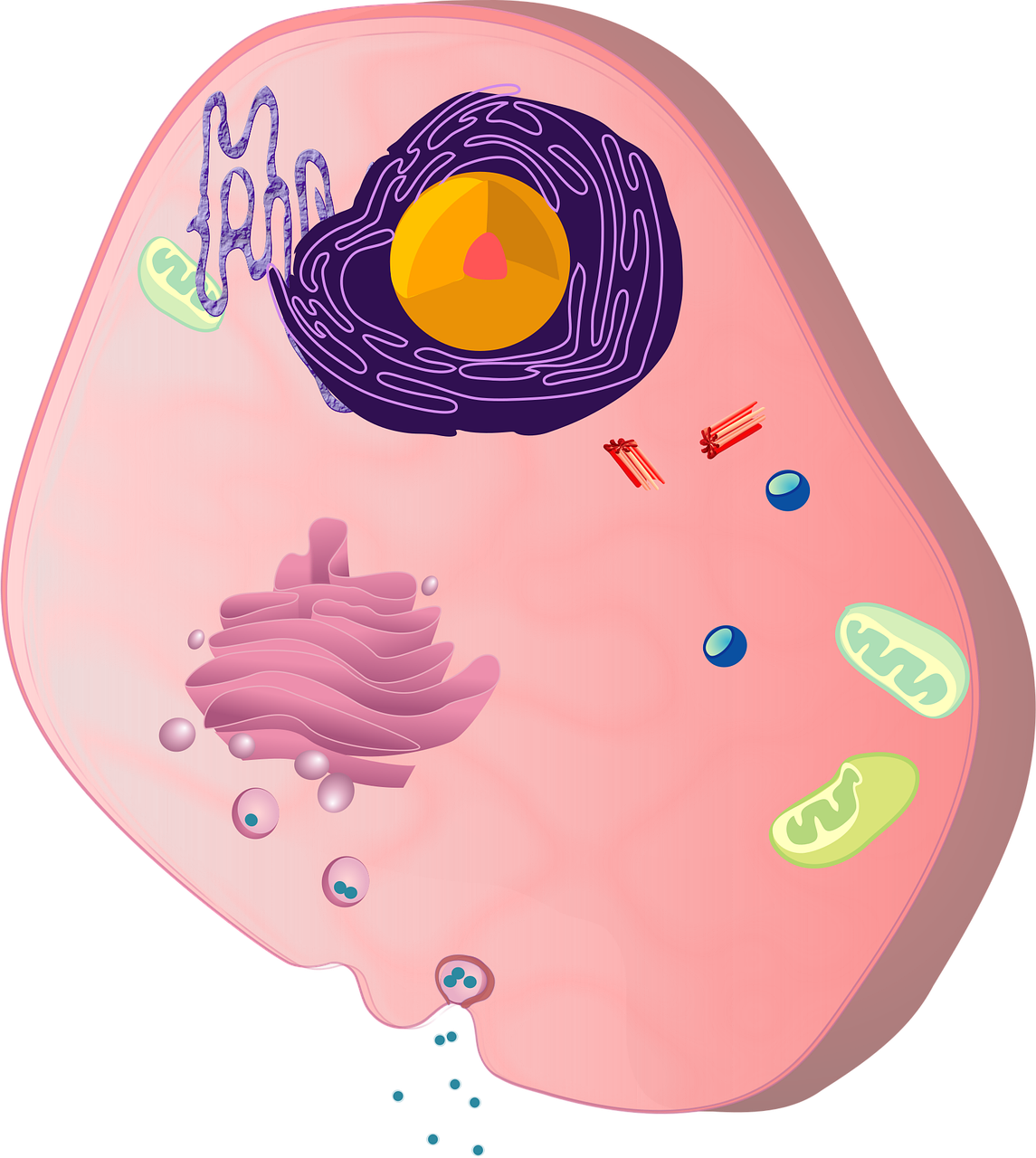 The Revolutionary Science Behind PATRIOX Liquid Oxygen Water